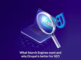 drupal seo