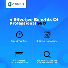 professional seo agency