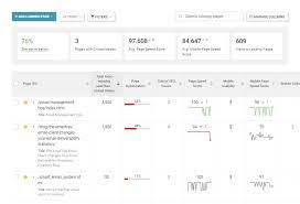 seo analyzer online