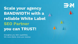 seo partners