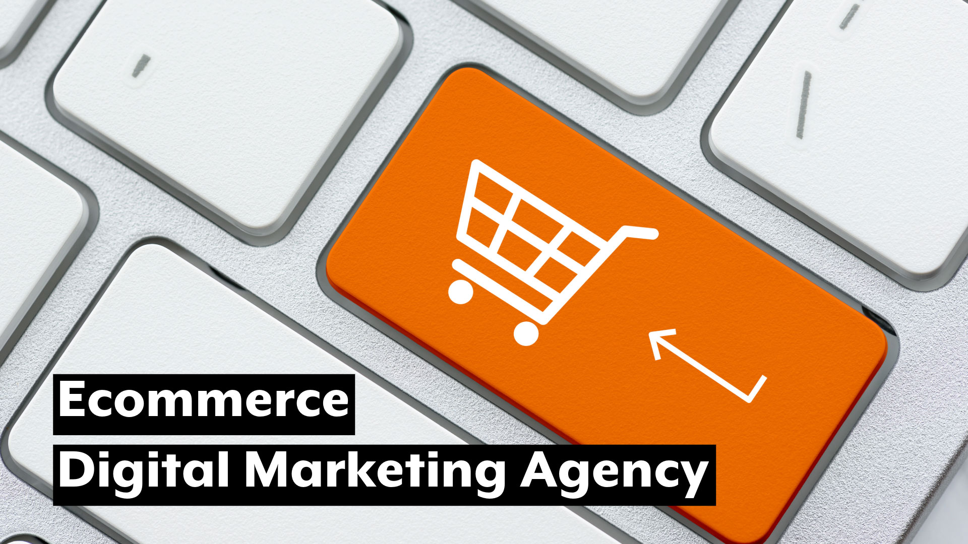 digital marketing agency for ecommerce