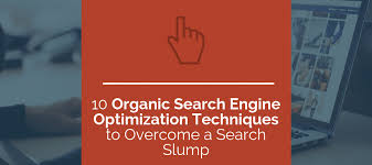 organic search engine optimisation